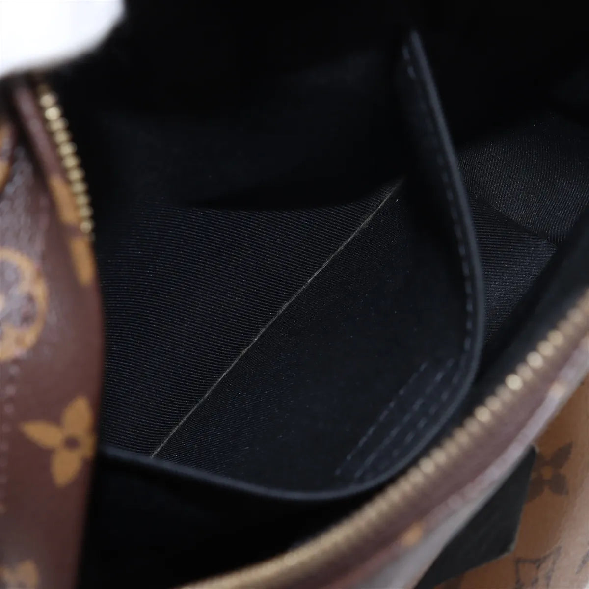 Louis Vuitton Monogram Reverse Palm Springs Backpack PM