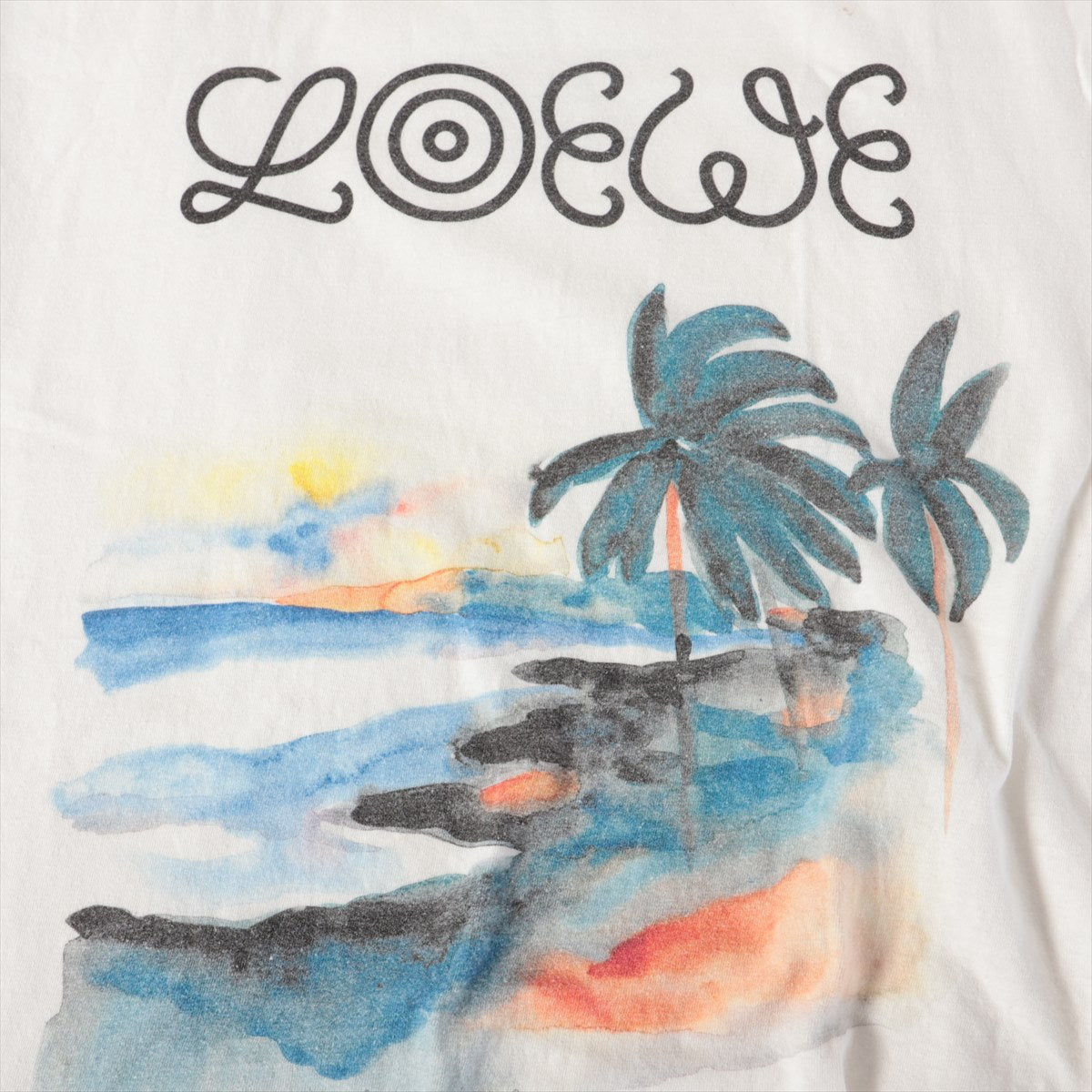 Loewe Nature Print Cotton T-shirt  White