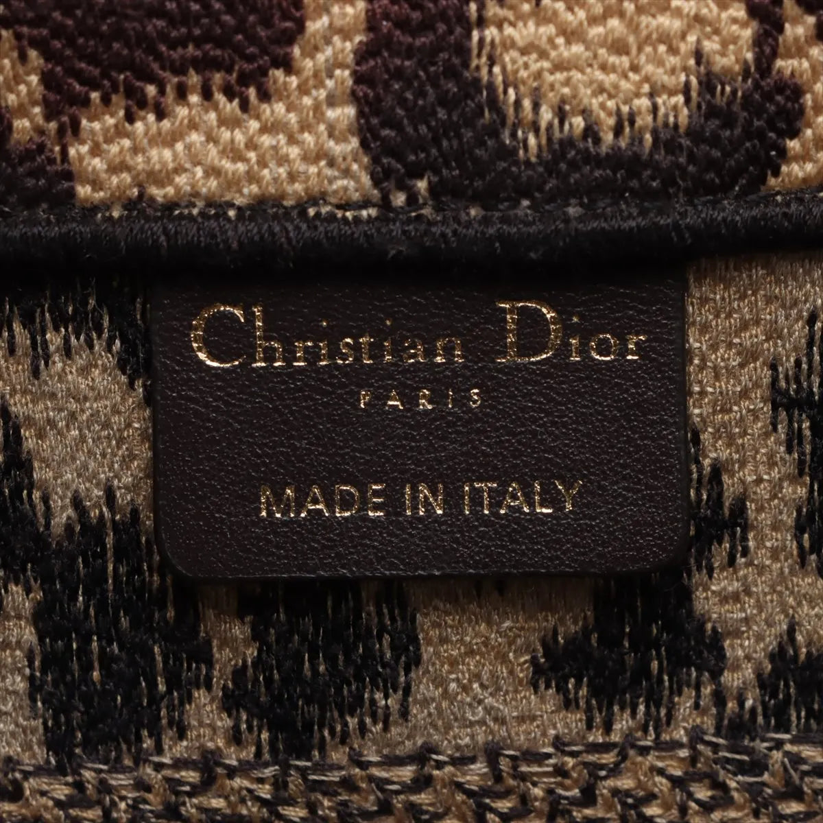 Christian Dior Leopard Small Canvas Book Tote Bag