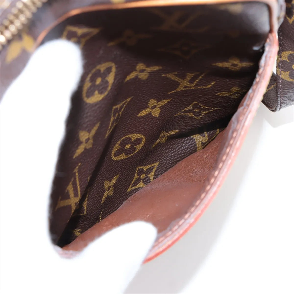 Louis Vuitton Monogram Danube Shoulder Bag