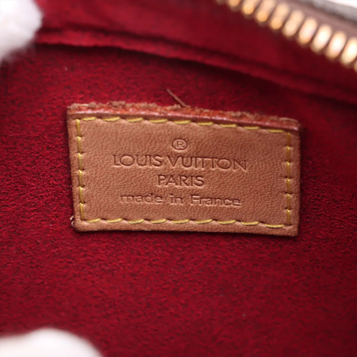 Louis Vuitton Monogram Viva Cite PM