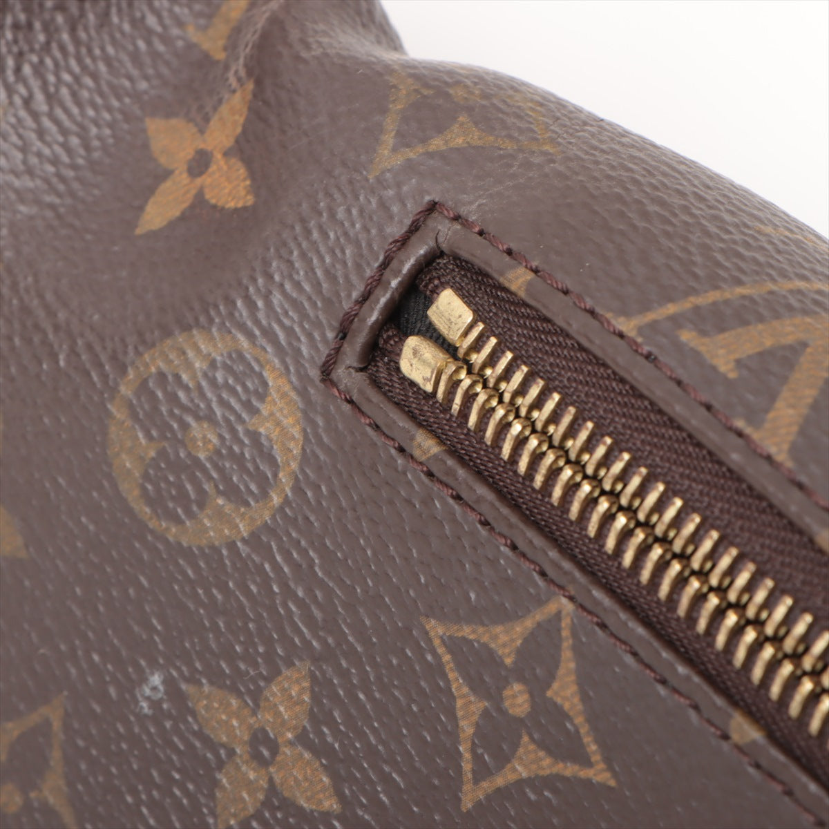 Louis Vuitton Monogram Bumbag