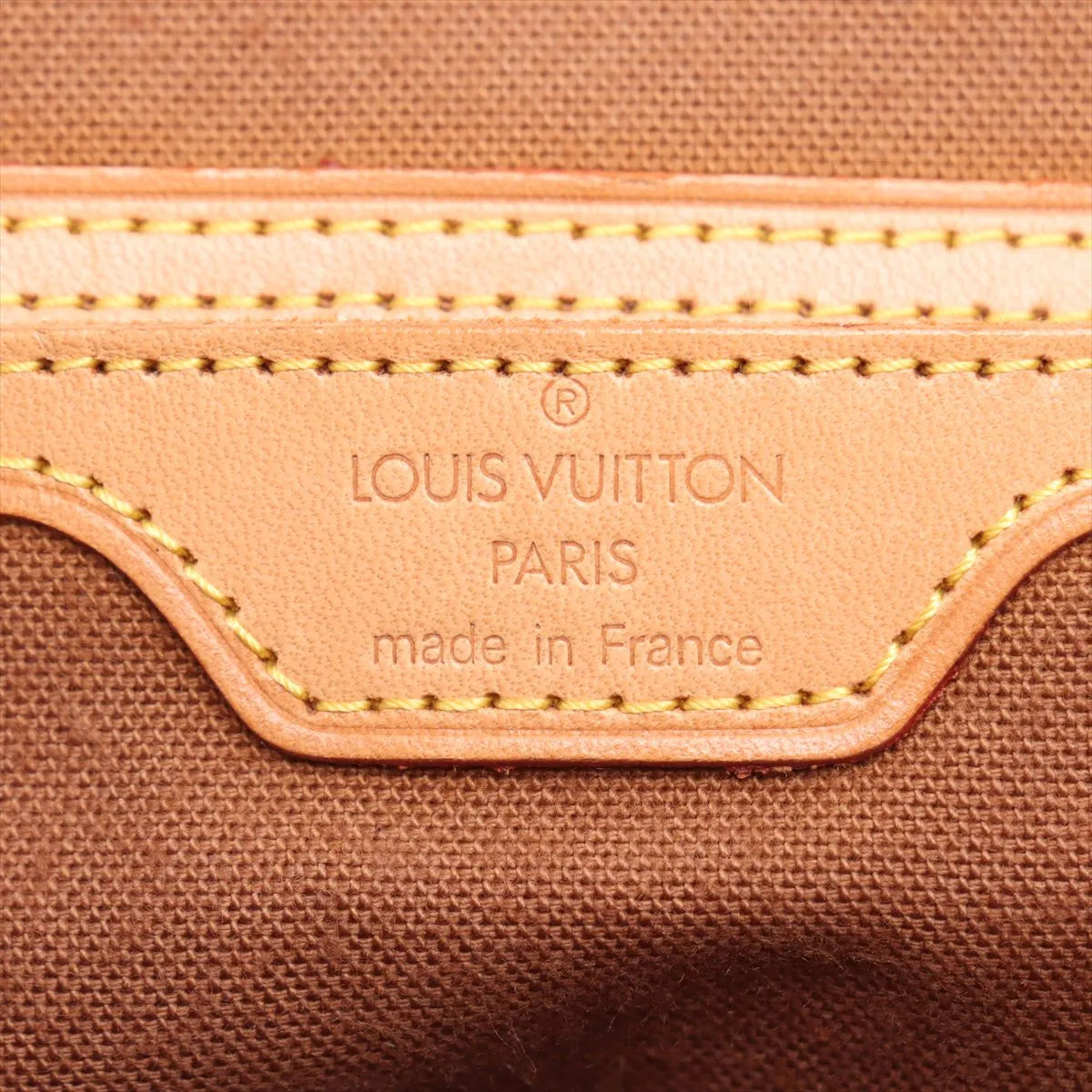 Louis Vuitton Damier Ebene Arlequin Backpack
