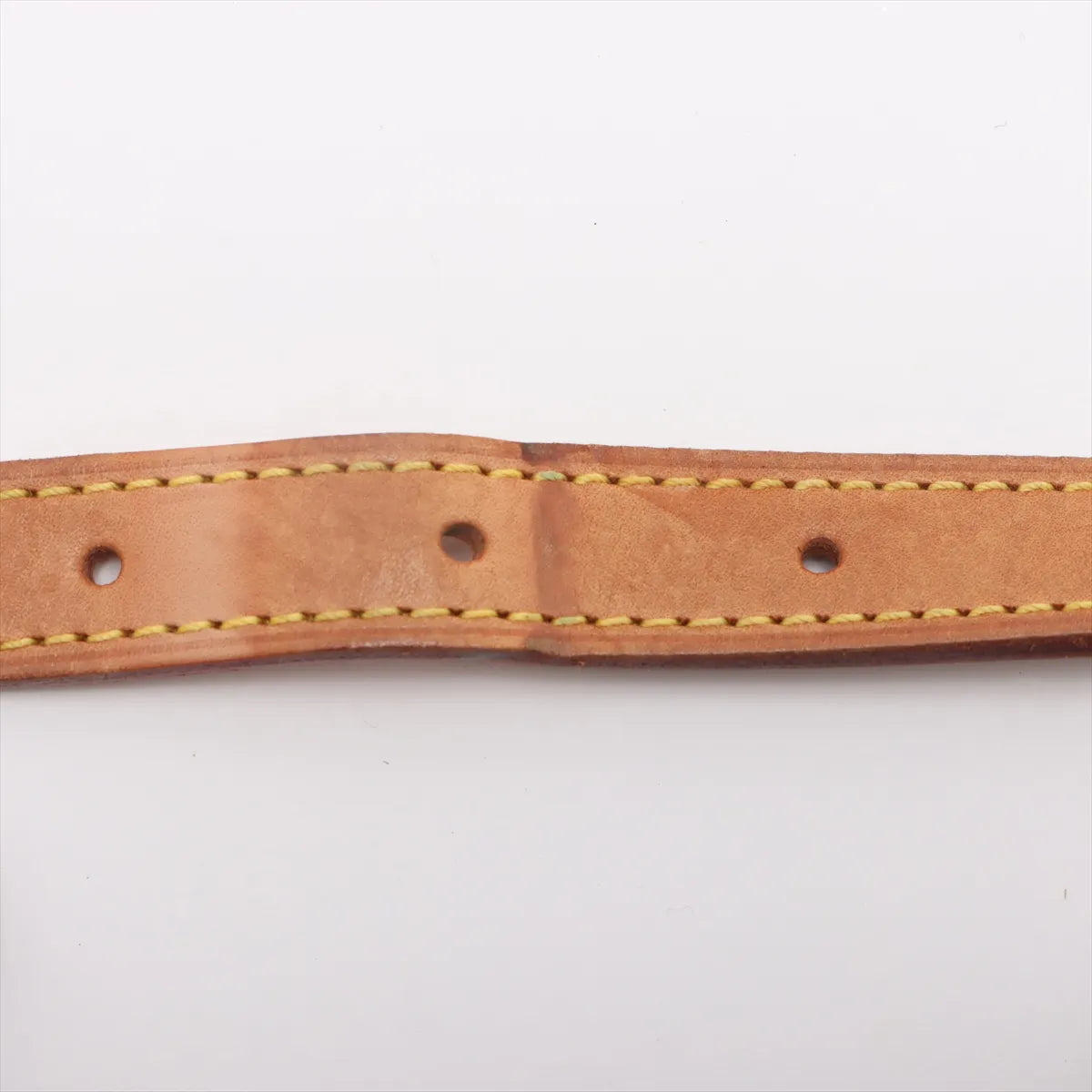 Louis Vuitton Monogram Viva Cite PM