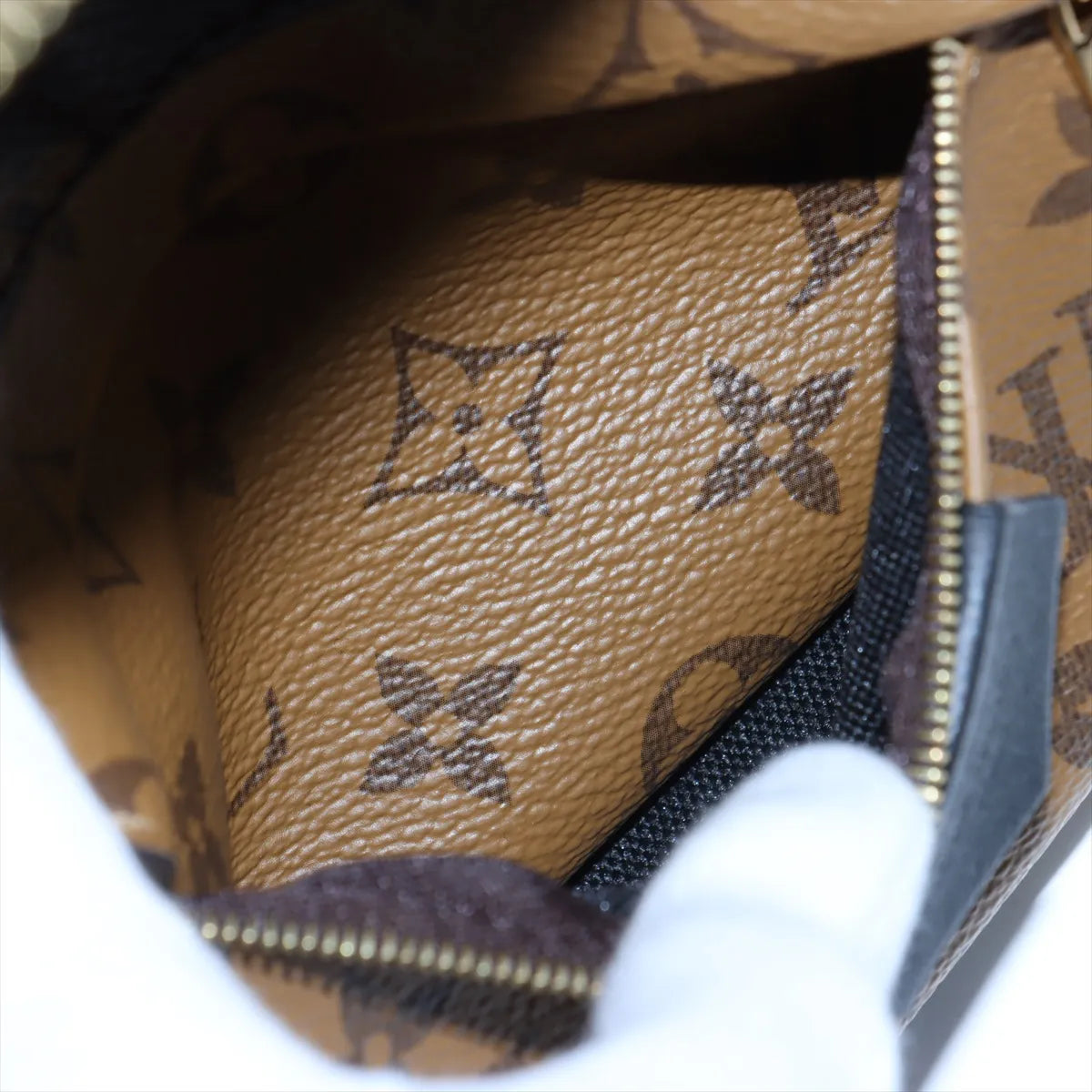 Louis Vuitton Monogram Reverse Palm Springs Backpack PM
