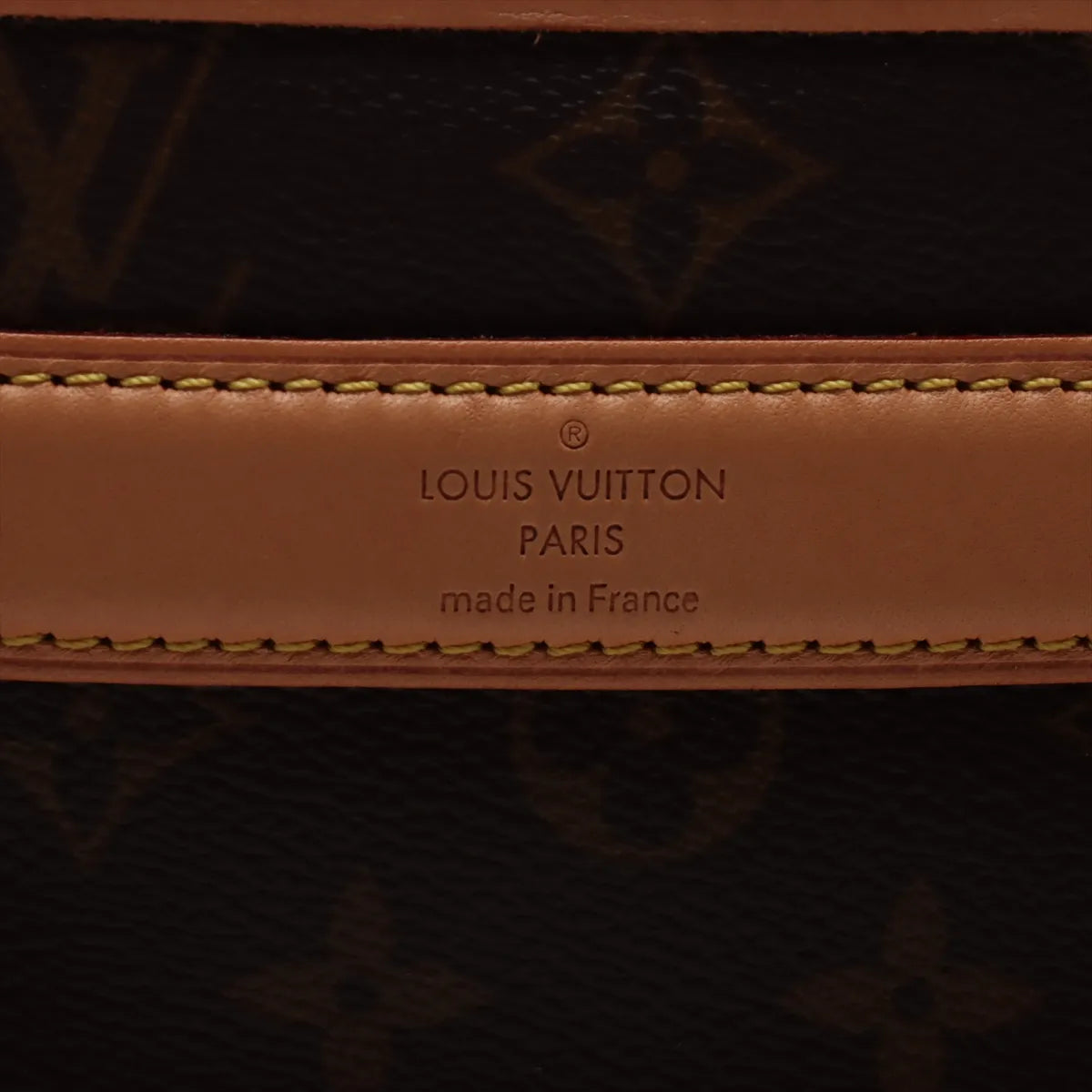 Louis Vuitton Monogram Dog Bag