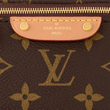Load image into Gallery viewer, Louis Vuitton Mini Bum Bag