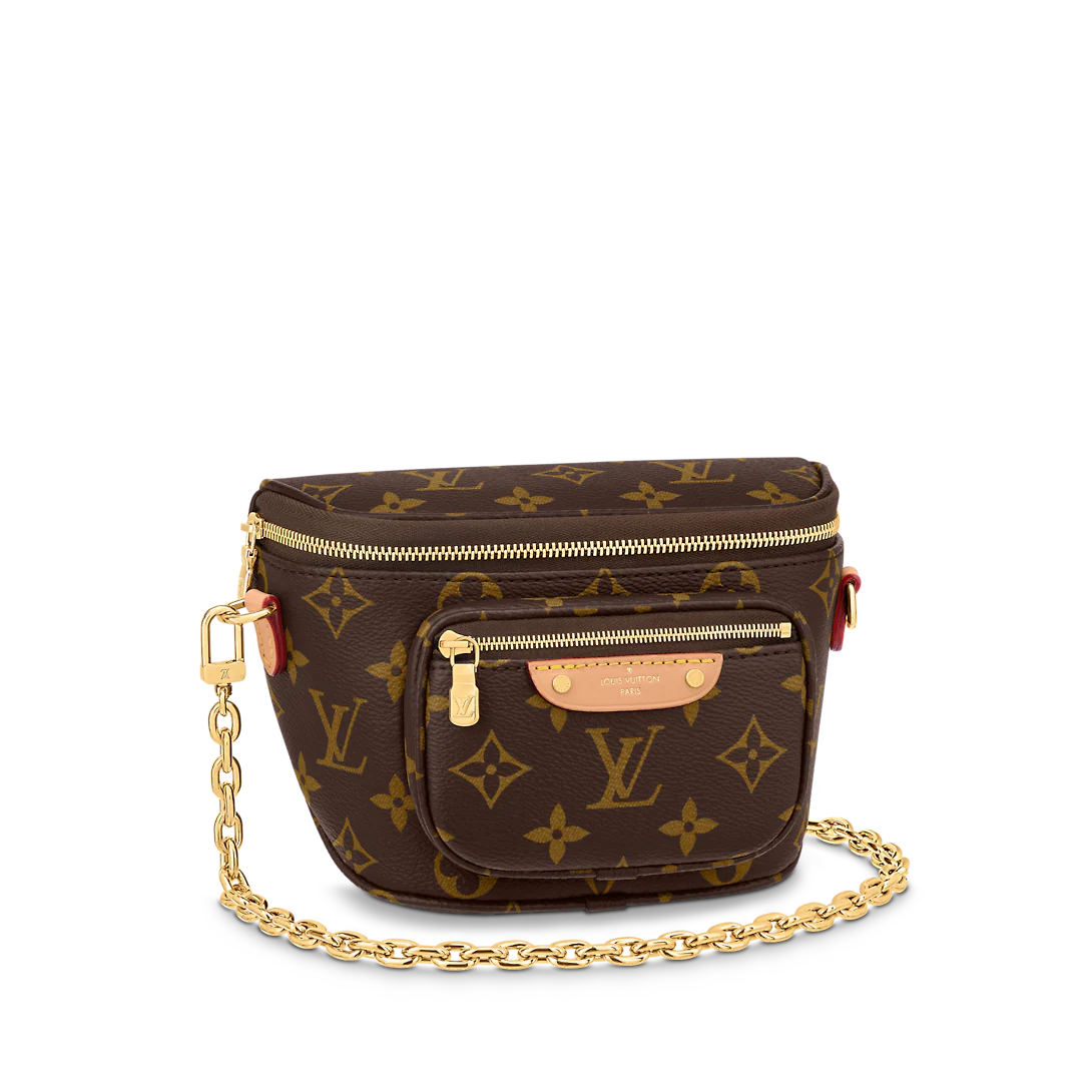 Louis Vuitton Mini Bum Bag – Redo Luxury