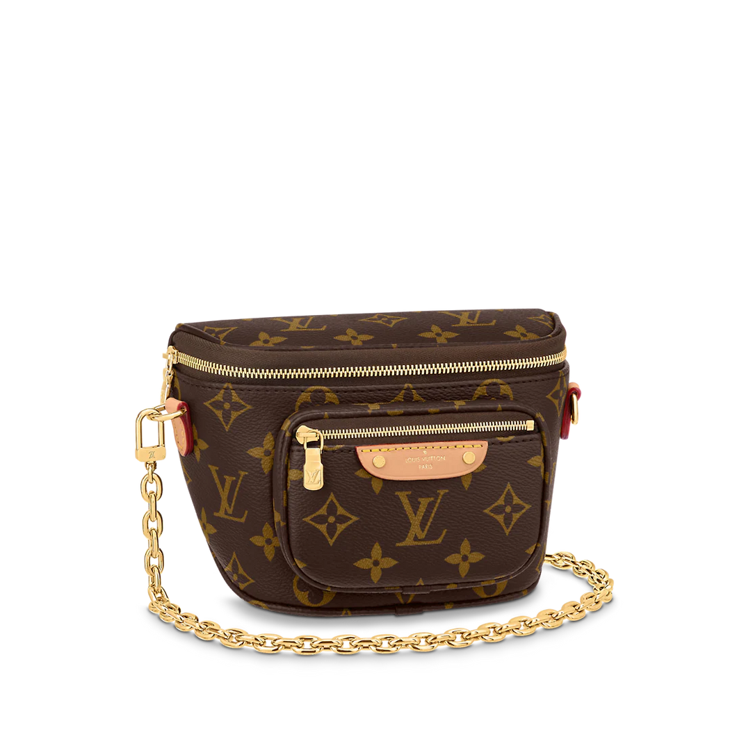 Louis Vuitton Bumbag Dauphine Monogram Reverse Brown in Canvas with  Gold-tone - US