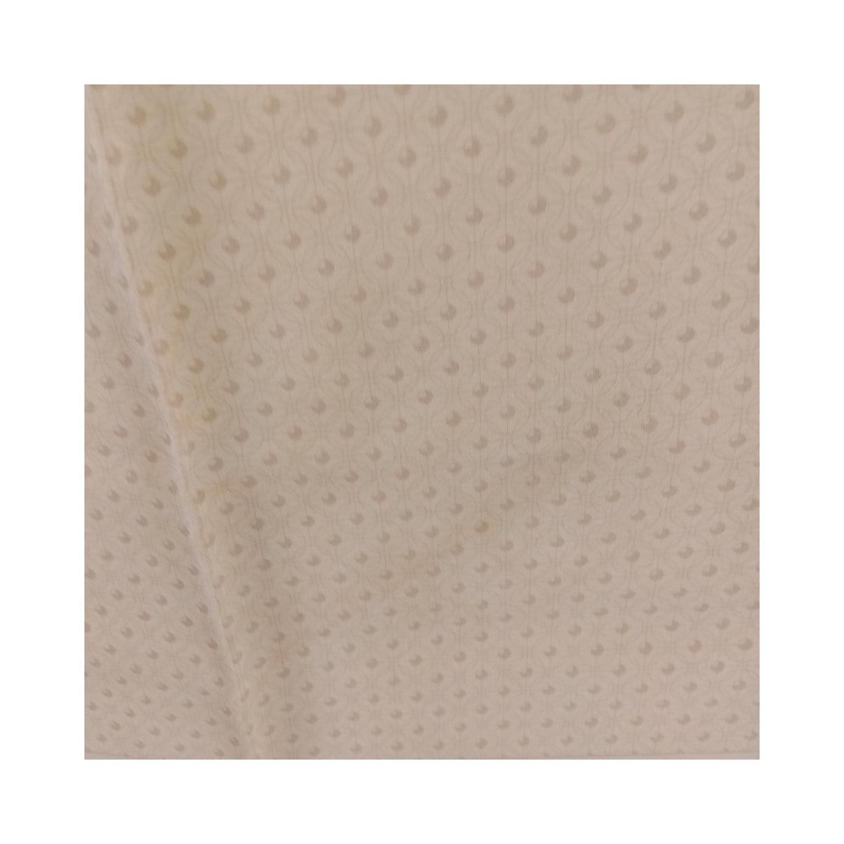 Celine Ivory Scarf with Equestrian Border — original detail
