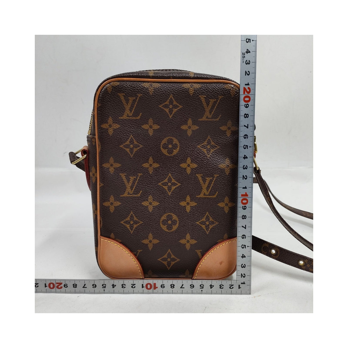 Louis Vuitton Monogram Danube Shoulder Bag — original photograph 2