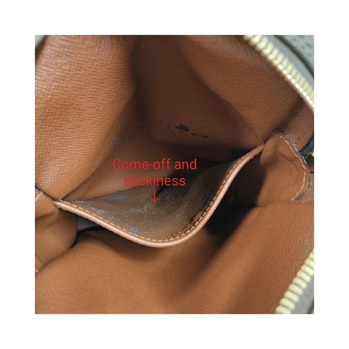 Louis Vuitton Monogram Danube Shoulder Bag — original photograph 8